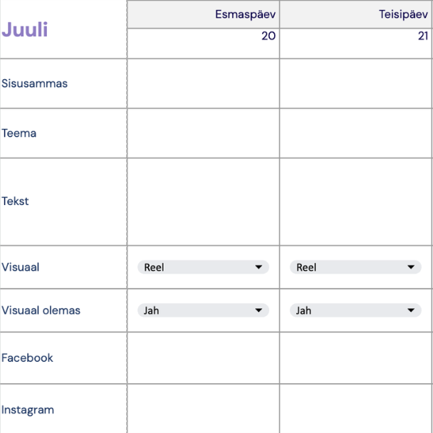 Sotsiaalmeedia kalender - Pilt 2